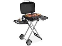 Bærbar gasgrill med dobbeltbrænder 4,5 kW Udendørsgrill