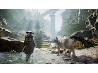 Beast of Reincarnation Spil til Playstation 5