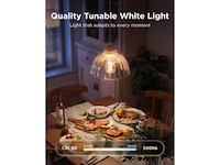 Govee Smart Edison Pære E27, RGBWW LED Lampe ST64 LED-pærer & elpærer