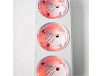 Shelly Power Strip Gen4 (hvid) Smart strømstyring
