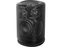 JBL Cove P1 Wi-Fi Højttaler (sort) Trådløs / Bluetooth højttaler