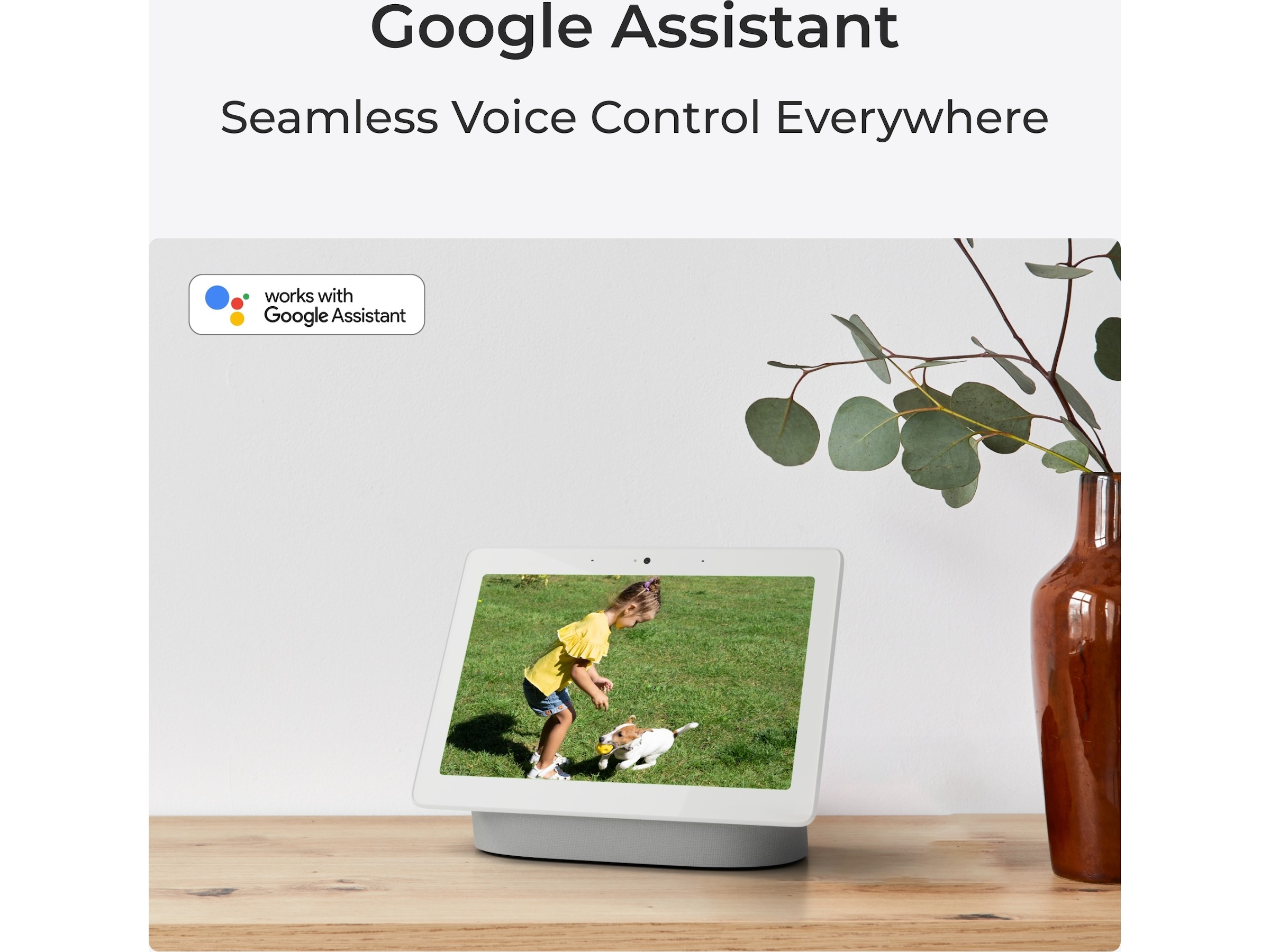 Reolink Argus Eco trådløst udendørs sikkerhedskamera Overvågningskameraer