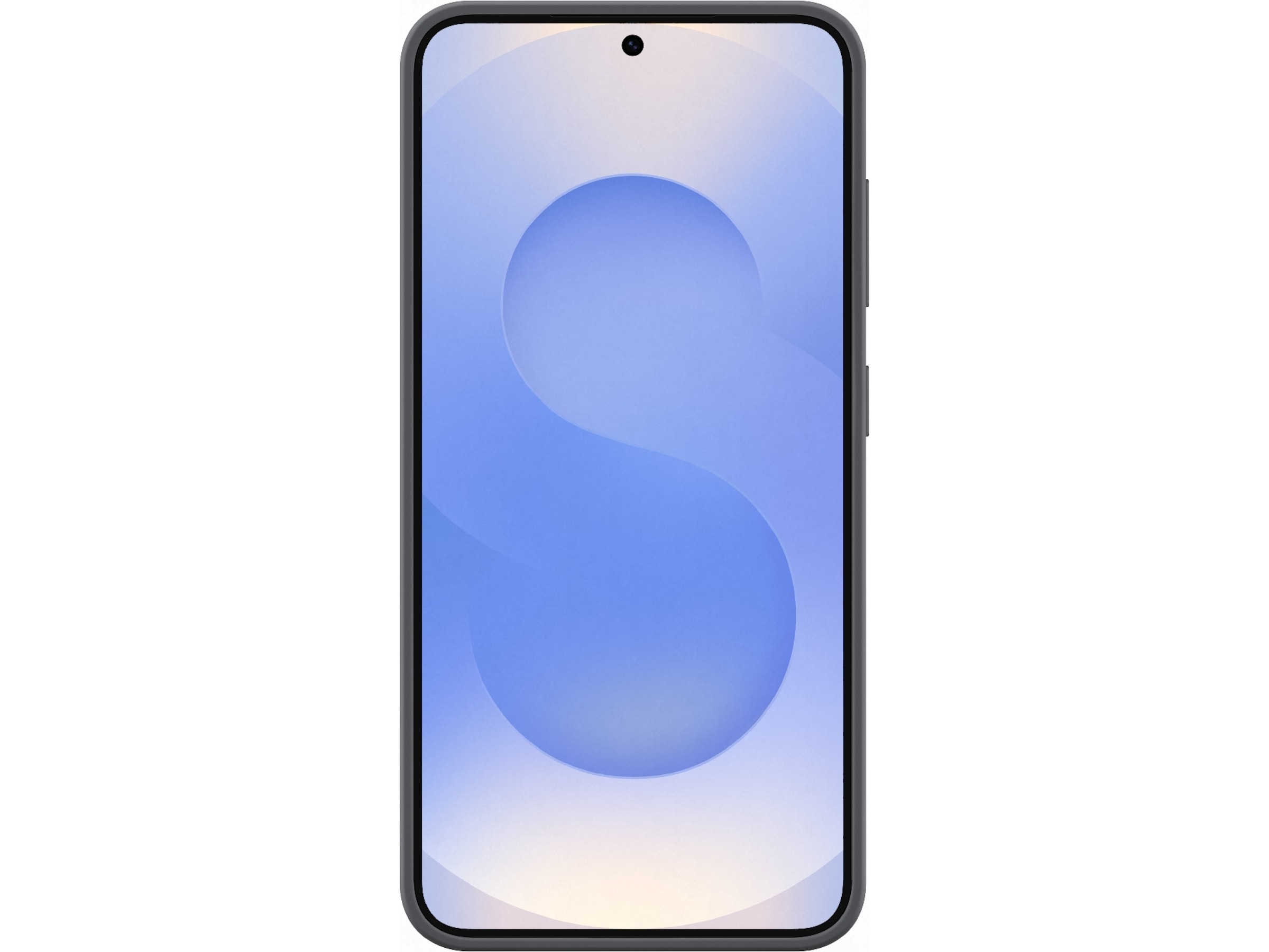 Samsung Galaxy S25 Silikone cover (sort) Mobilcover