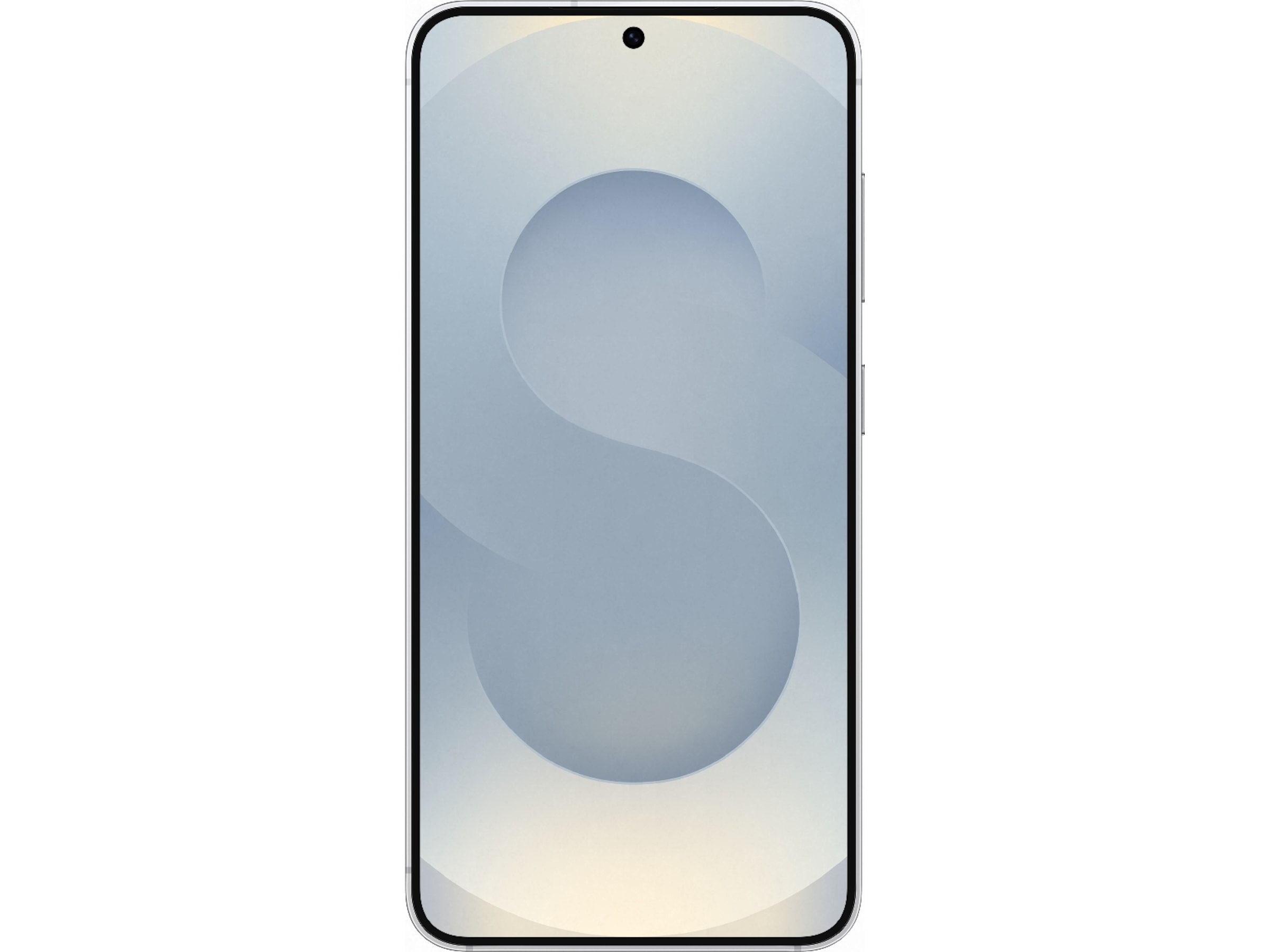 Samsung Galaxy S25 128GB Enterprise (silver shadow) Mobiltelefoner