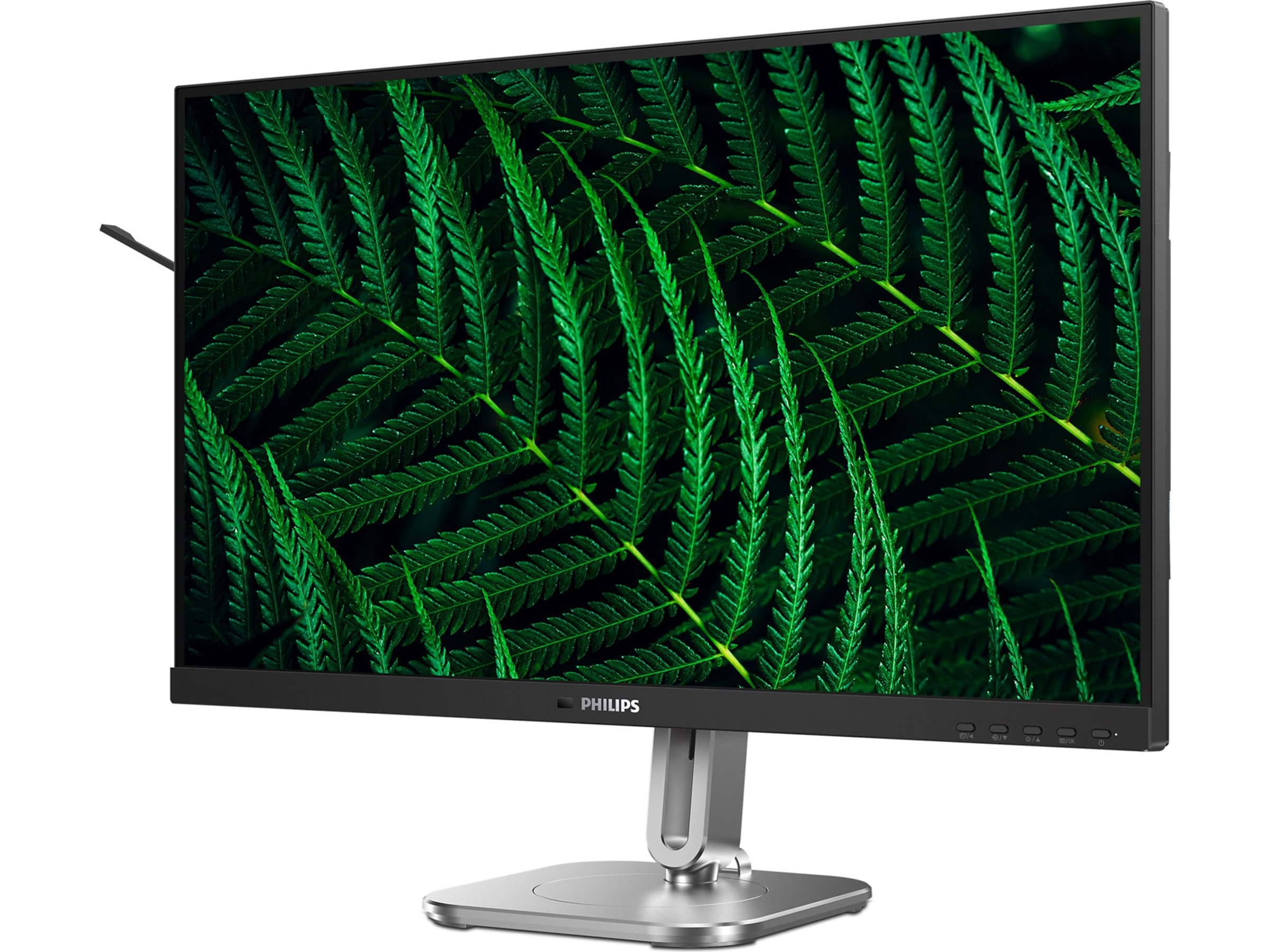 Philips 27" skærm 27B2G5500/00 Skærme