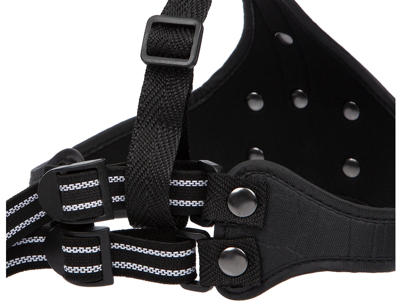 iiglo hovedbånd til iiglo cykellygter Pandelamper & lommelygter