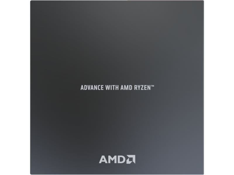 AMD Ryzen 9 7900 CPU Processorer