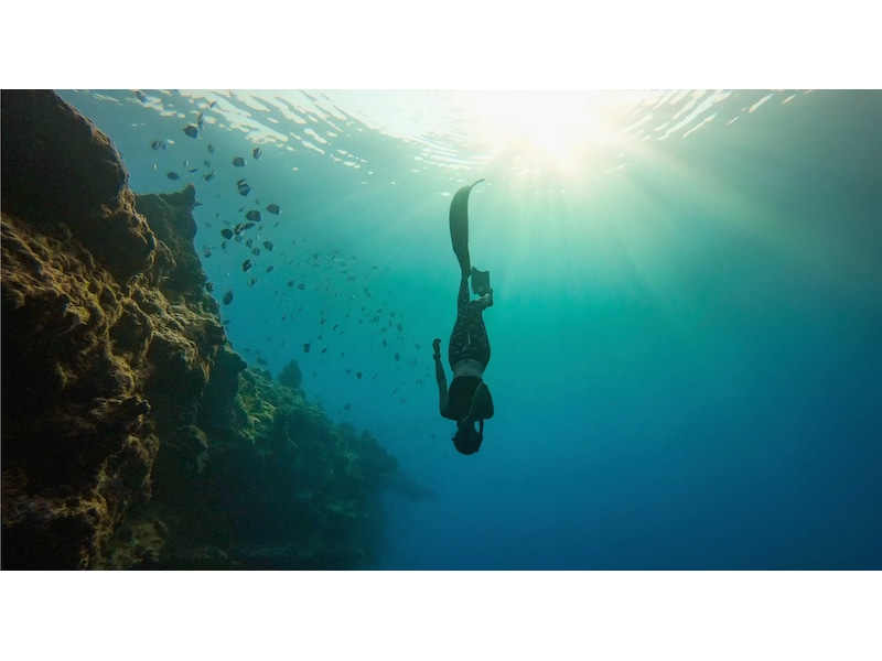 GoPro HERO11 Black Mini Protective Dive Housing Tilbehørssæt til kameraer