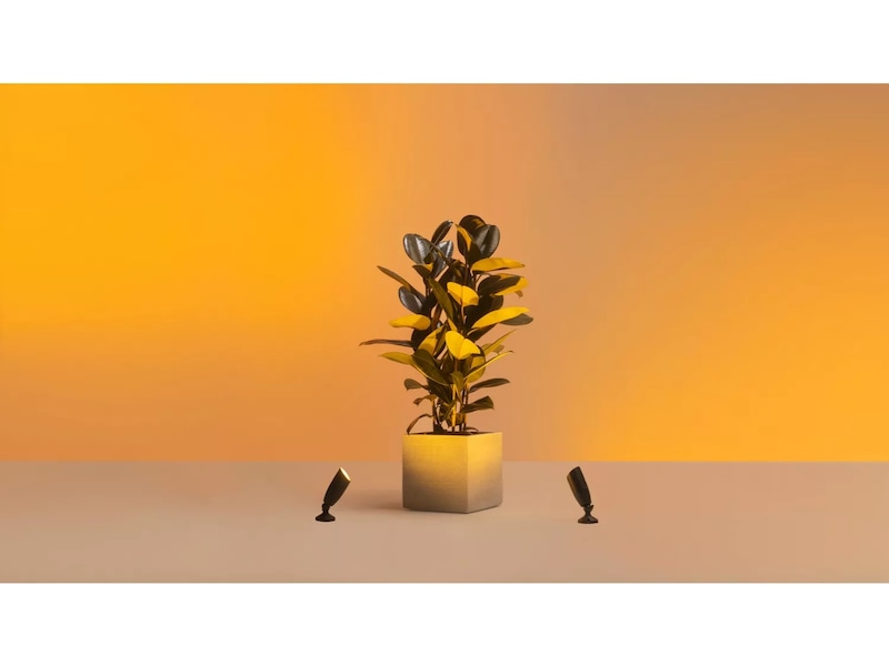 WiZ udendørs 12V jordspot startsæt Gulvlampe