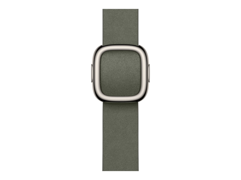 Apple Watch 42mm Modern Buckle (sage gray) Rem