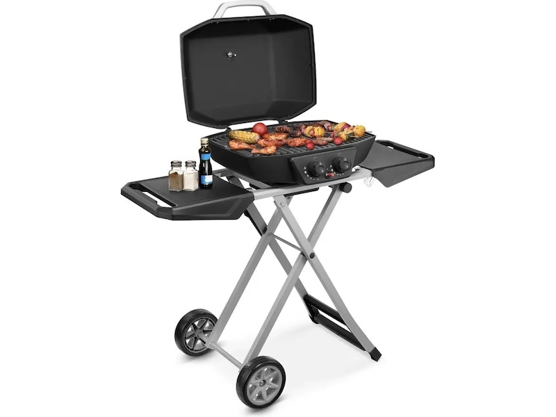 Bærbar gasgrill med dobbeltbrænder 4,5 kW Udendørsgrill