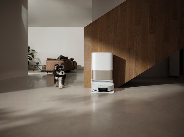 animal friendly animal friendly