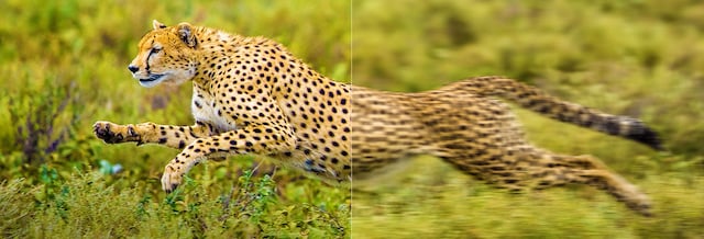 motion compensation motion compensation