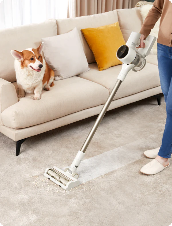 Låser inn støv Låser inn støv