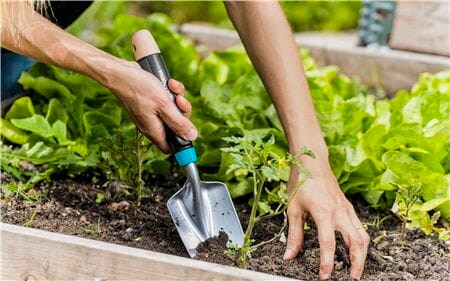 Ideel til at ompotte og plante