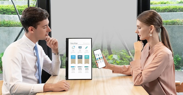 ASUS 16" bærbar skærm MB16AWP