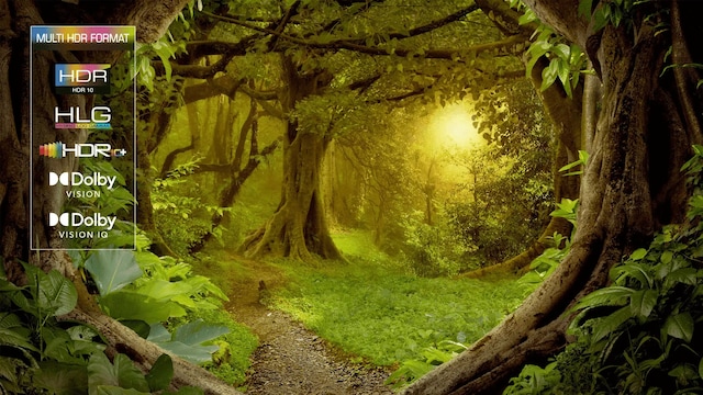 TCL 115" QLED 4K Google TV 115X955 MAX TCL 115" QLED 4K Google TV 115X955 MAX