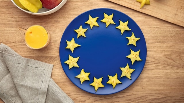 Fremstillet i Europa Fremstillet i Europa